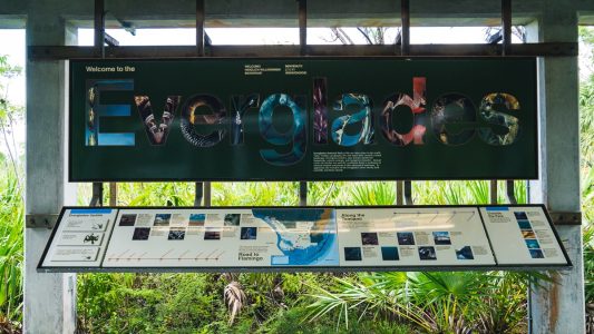 florida-everglades-2