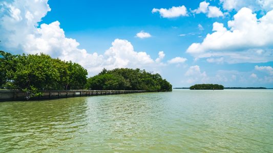 florida-everglades-4