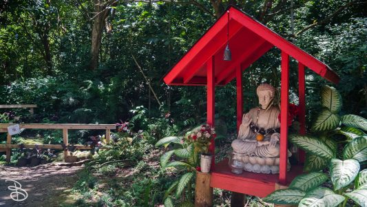 hawaii-byodoin-4