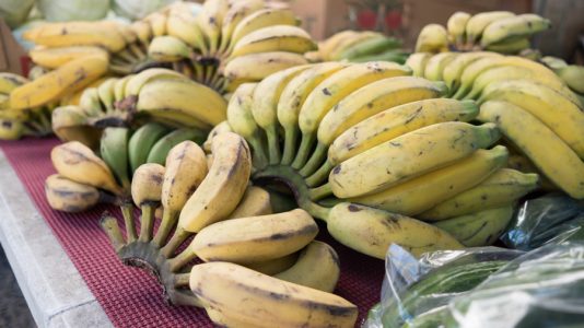 hawaii-day-1 (19 of 96)