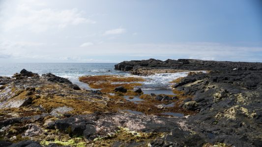 hawaii-day-6 (1 of 6)
