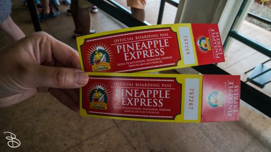 hawaii-dole_plantation-14