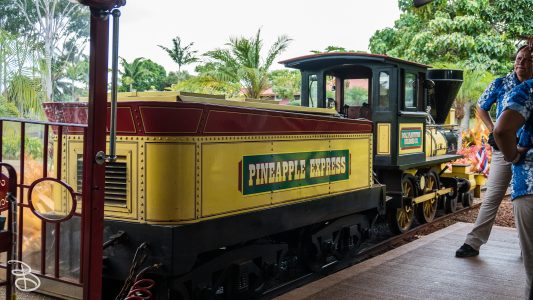 hawaii-dole_plantation-15