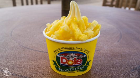 hawaii-dole_plantation-21