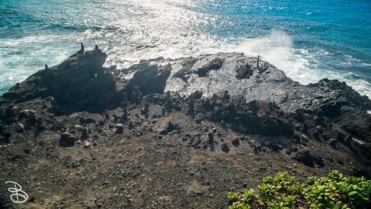 hawaii-halona_blowhole-5