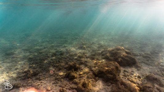 hawaii-haunama_bay-1
