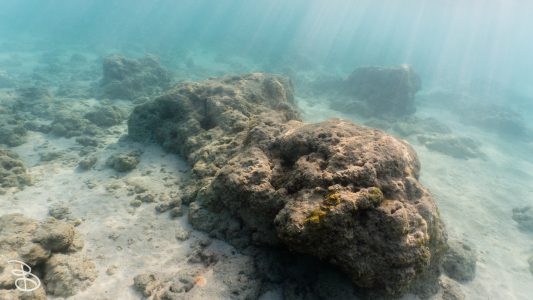 hawaii-haunama_bay-10