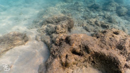 hawaii-haunama_bay-11