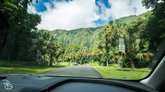 hawaii-hoomaluhia_garden-1