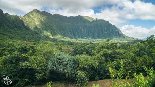 hawaii-hoomaluhia_garden-2