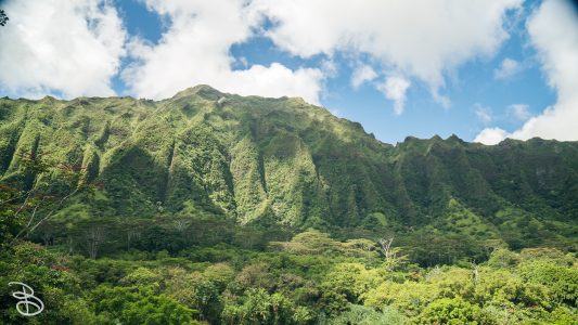 hawaii-hoomaluhia_garden-3
