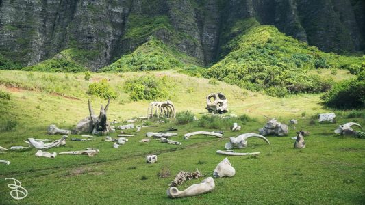 hawaii-kualoa-21