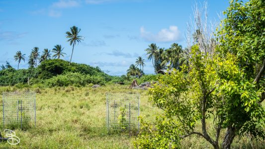 hawaii-kualoa-7