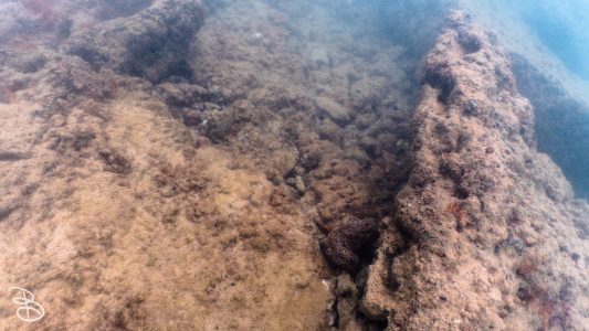 hawaii-kuilima_cove-1