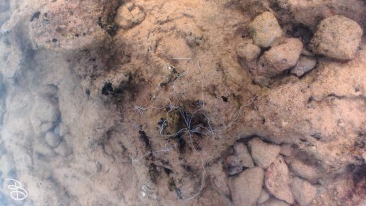 hawaii-kuilima_cove-10