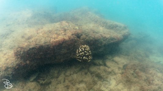hawaii-kuilima_cove-2