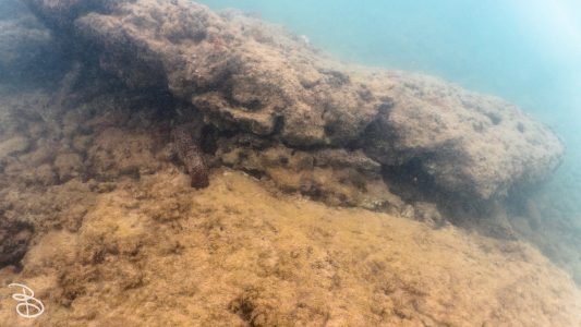 hawaii-kuilima_cove-4