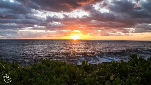hawaii-luau-electric_beach-10