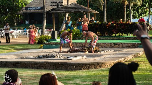 hawaii-luau-electric_beach-8
