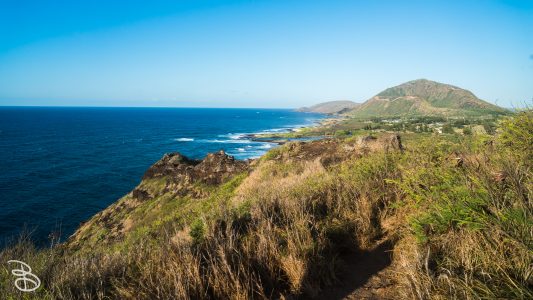 hawaii-makapuu_trail-1