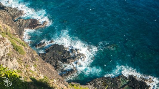 hawaii-makapuu_trail-11
