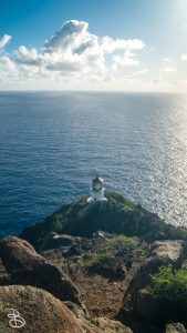 hawaii-makapuu_trail-15