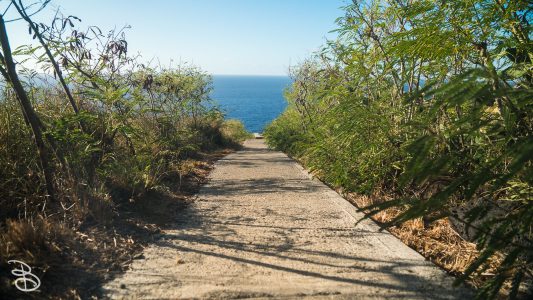 hawaii-makapuu_trail-18