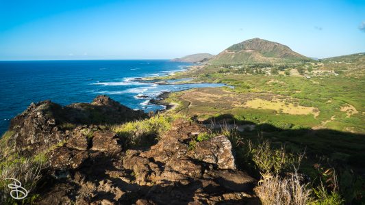 hawaii-makapuu_trail-3