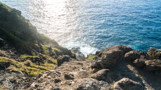hawaii-makapuu_trail-4
