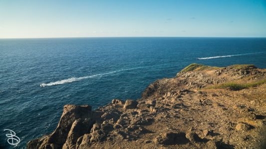 hawaii-makapuu_trail-5