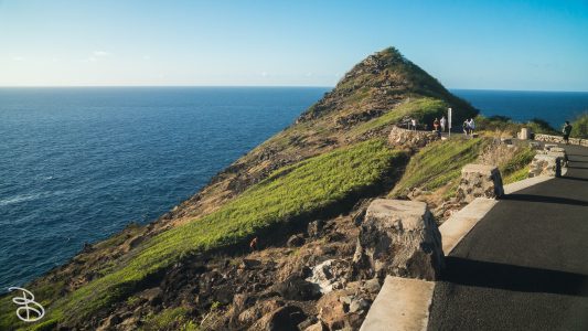 hawaii-makapuu_trail-7