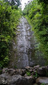 hawaii-manoa_falls-10
