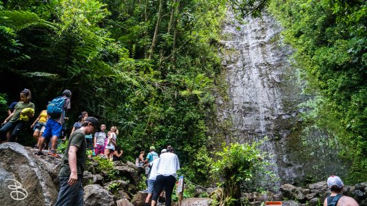 hawaii-manoa_falls-11
