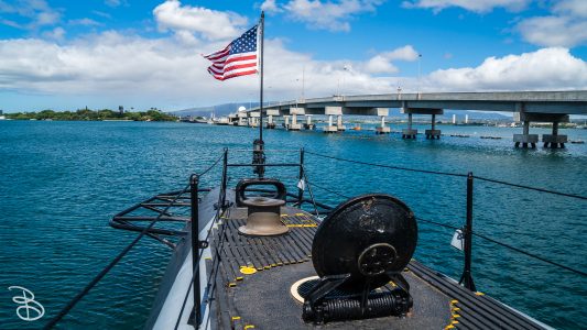 hawaii-ph_arizona_bowfin-29