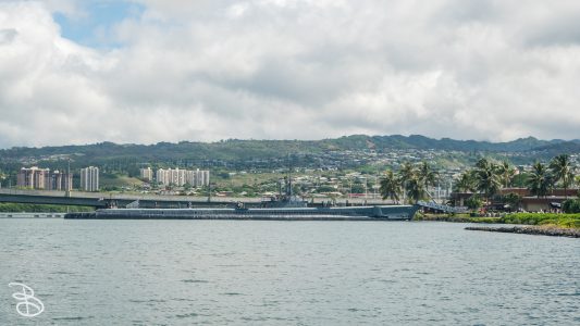hawaii-ph_arizona_bowfin-8