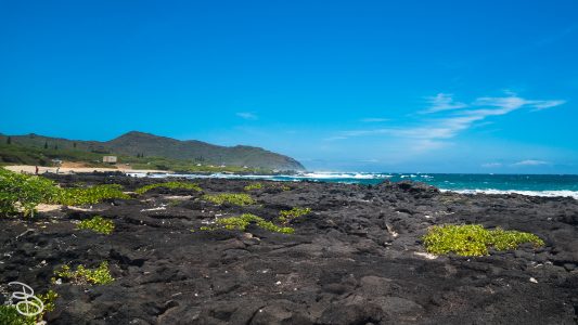 hawaii-sandy_beach-11