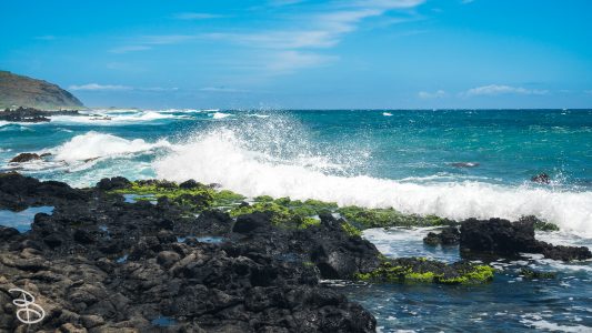 hawaii-sandy_beach-7