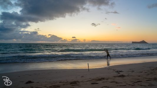 hawaii-waimanalo_beach-5
