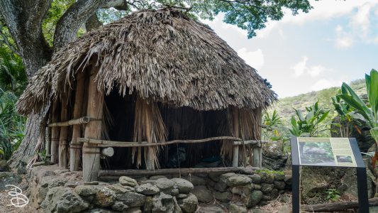 hawaii-waimea_valley-10