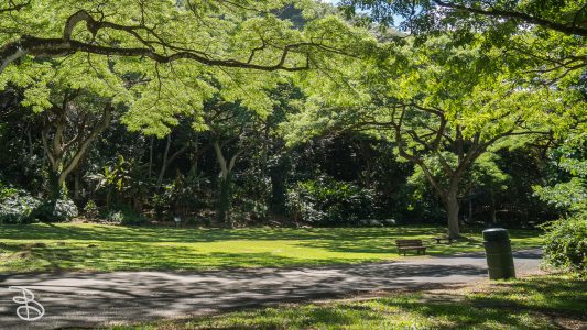 hawaii-waimea_valley-18