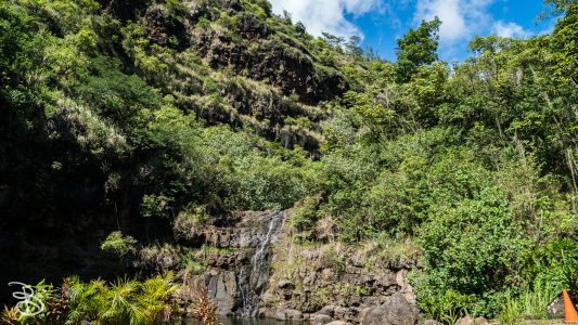 hawaii-waimea_valley-24