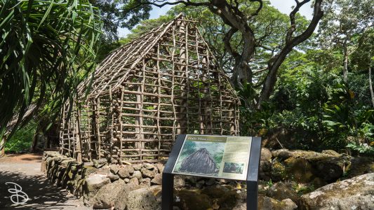 hawaii-waimea_valley-8