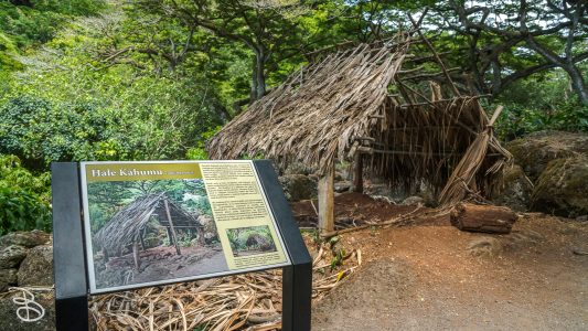 hawaii-waimea_valley-9