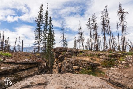 ip-athabasca-falls-13