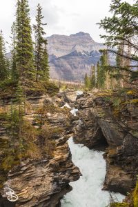 ip-athabasca-falls-3