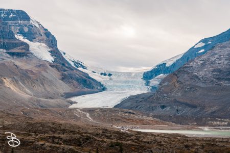 ip-columbia-icefield-1