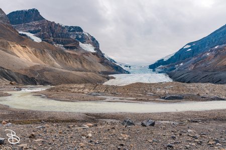 ip-columbia-icefield-10