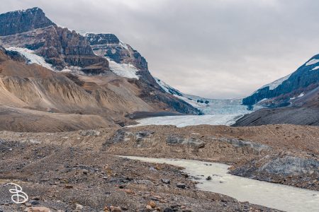 ip-columbia-icefield-13