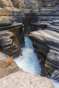 ip-mistaya-canyon-7