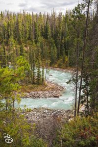 ip-sunwapta-falls-6